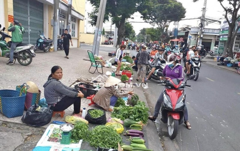 ÔNG 8 NAY ĐÃ 73 TUỔI BÁN LÔ 618,8M2 CÓ THỔ CƯ, GIÁ 260TR/SỔ, BÁN CÓ TIỀN LO SỨC KHỎE